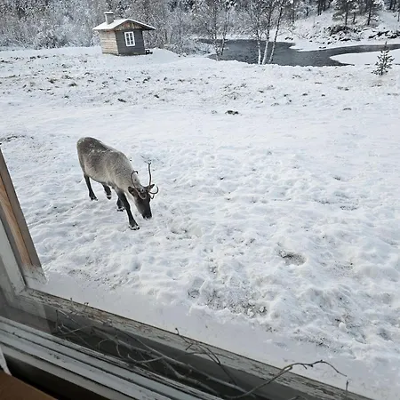 Leppaelaen Vanhatupa Rantasaunalla Utsjoki Esterno foto