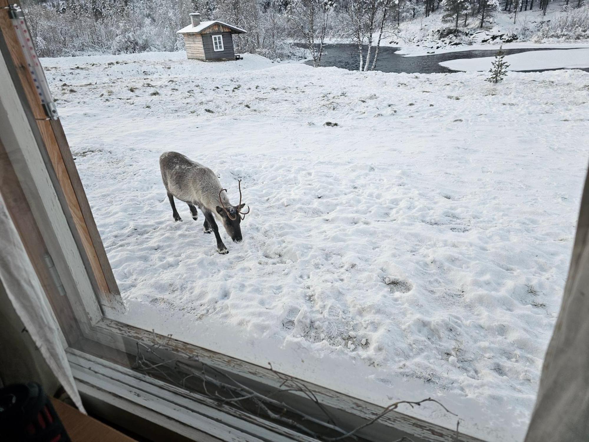 Leppaelaen Vanhatupa Rantasaunalla Chalet